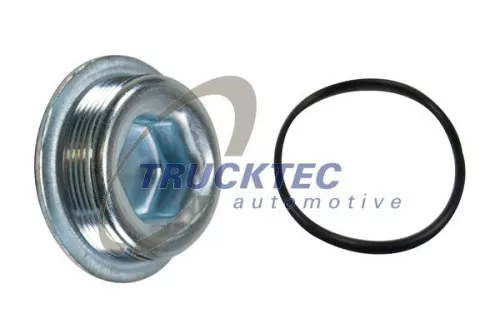 Screw Plug, crankcase