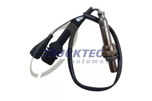 Oxygen Sensor