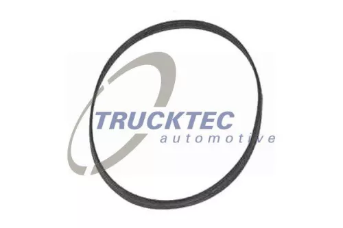 TRUCKTEC AUTOMOTIVE Gasket, thermostat housing (08.10.044)