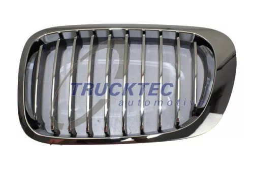 TRUCKTEC AUTOMOTIVE Radiator Grille (08.62.296)