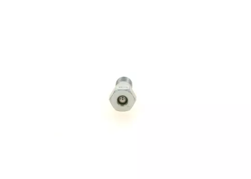 BOSCH Valve, injection system (1417413047)