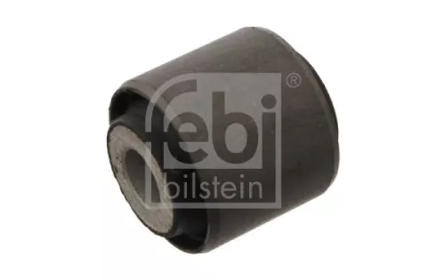 10x Mounting, control/trailing arm