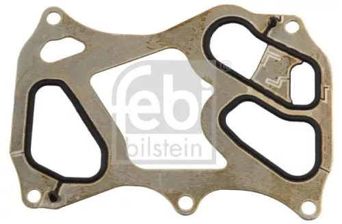 1x Gasket, oil cooler