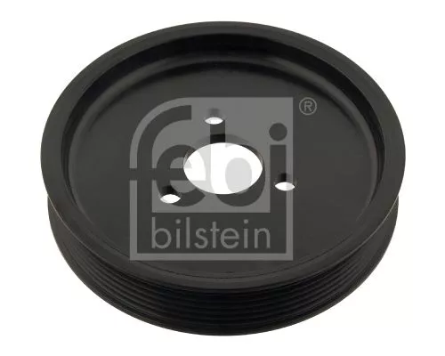 1x Belt Pulley, power steering pump
