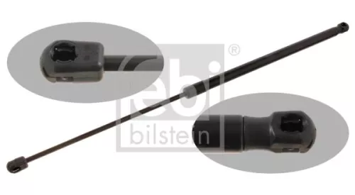 1x Gas Spring, bonnet