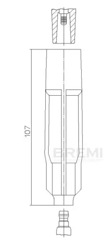 Plug, spark plug