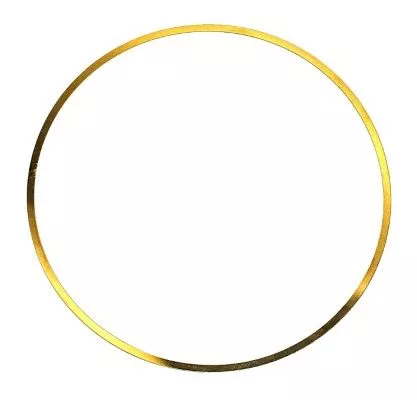 ELRING Gasket, cylinder liner (703.214)