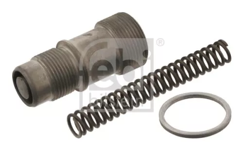 1x Tensioner, timing chain