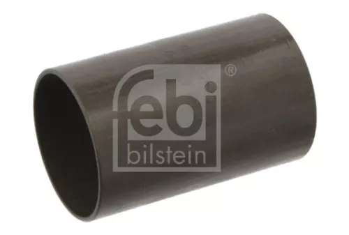FEBI BILSTEIN 10x Bushing, leaf spring (02458)