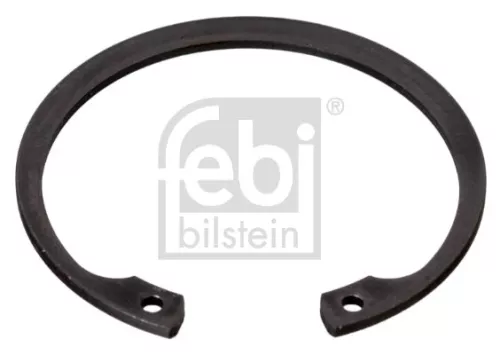 FEBI BILSTEIN 100x Circlip (03729)