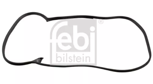FEBI BILSTEIN 1x Door Seal (08875)