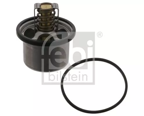 1x Thermostat, coolant