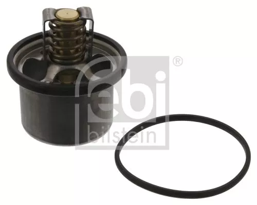 1x Thermostat, coolant