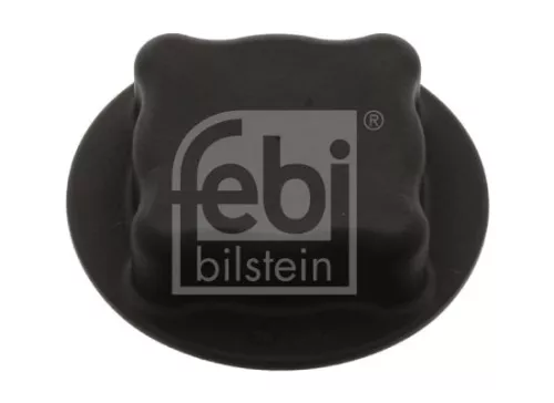 1x Cap, coolant tank