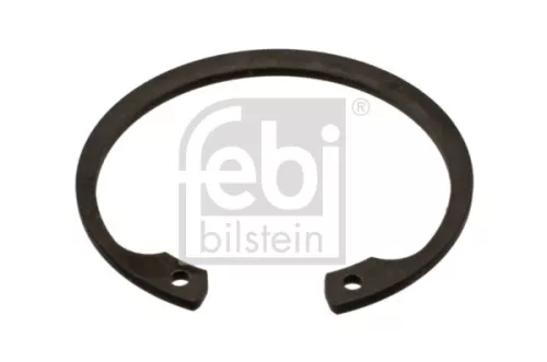 FEBI BILSTEIN 100x Circlip (14933)