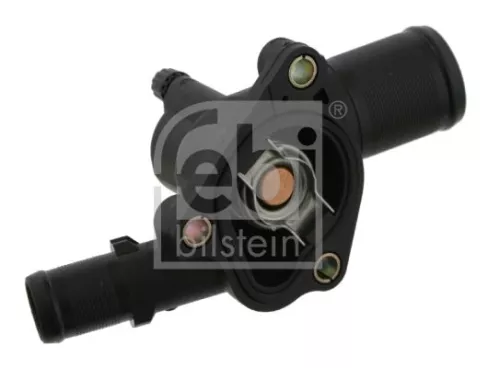 1x Thermostat, coolant