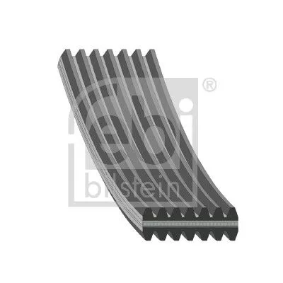 FEBI BILSTEIN 1x V-Ribbed Belt (34464)