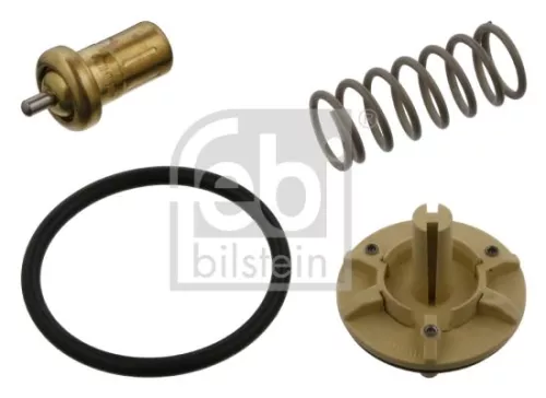 1x Thermostat, coolant