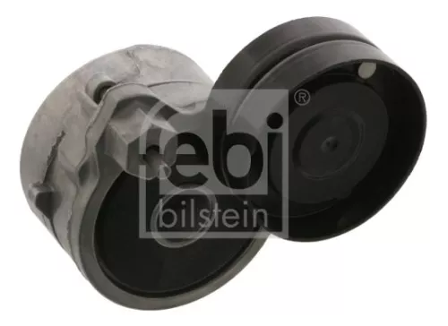 1x Belt Tensioner, V-ribbed belt