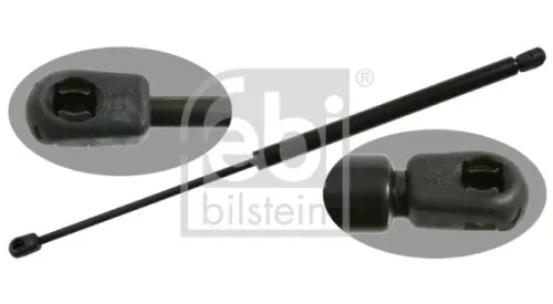1x Gas Spring, bonnet