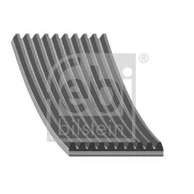FEBI BILSTEIN 1x V-Ribbed Belt (46479)