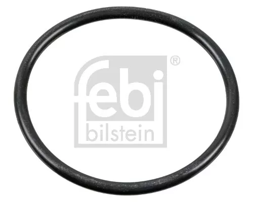 FEBI BILSTEIN 2x Seal, camshaft adjustment (100165)