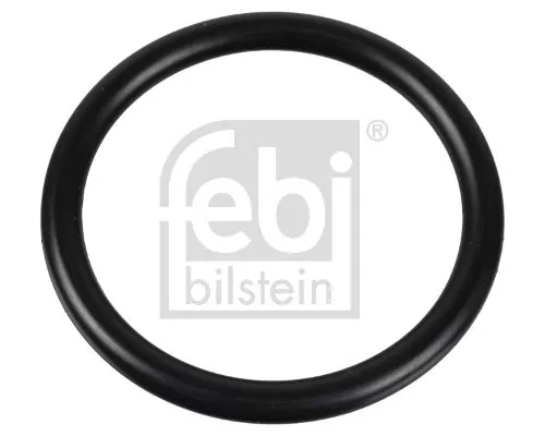 FEBI BILSTEIN 10x Seal, thermostat (174322)