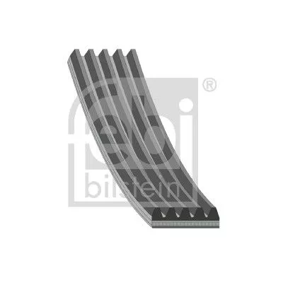 FEBI BILSTEIN 1x V-Ribbed Belt (175844)