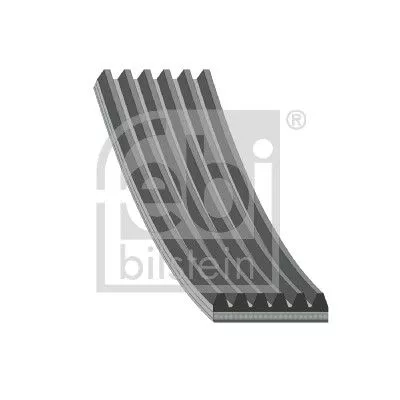 FEBI BILSTEIN 1x V-Ribbed Belt (183085)