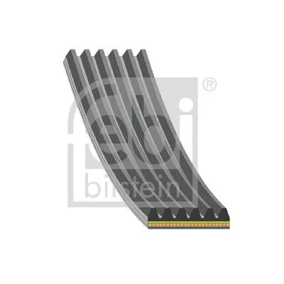 FEBI BILSTEIN 1x V-Ribbed Belt (183322)