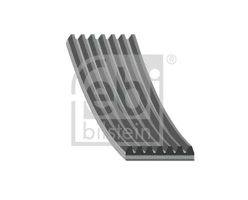 FEBI BILSTEIN 1x V-Ribbed Belt (184507)
