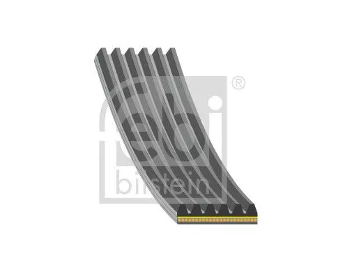 FEBI BILSTEIN 1x V-Ribbed Belt (184932)