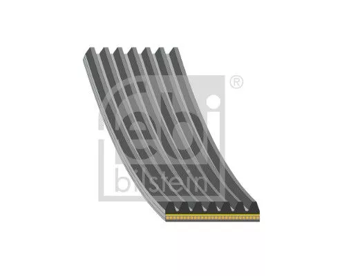 FEBI BILSTEIN 1x V-Ribbed Belt (184935)