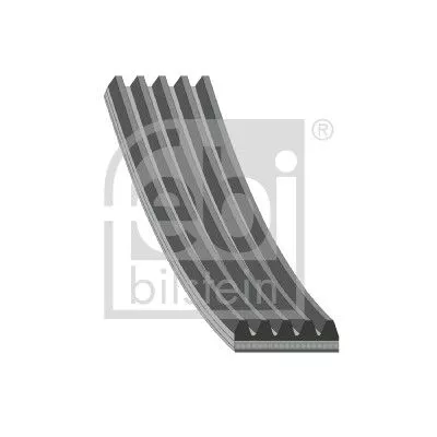 FEBI BILSTEIN 1x V-Ribbed Belt (186373)