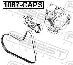 FEBEST Tensioner Pulley, V-ribbed belt (1087-CAPS)