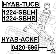 FEBEST Control/Trailing Arm, wheel suspension (1224-SBRH)