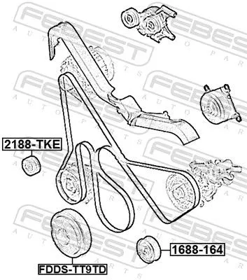 FEBEST Belt Pulley, crankshaft (FDDS-TT9TD)