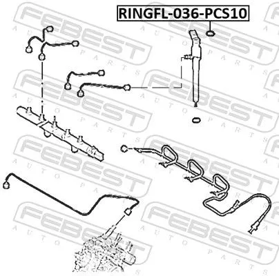 FEBEST Seal Ring, injector (RINGFL-036-PCS10)