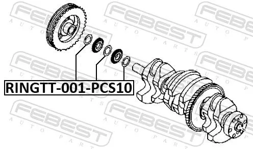 FEBEST Ring Gear, crankshaft (RINGTT-001-PCS10)