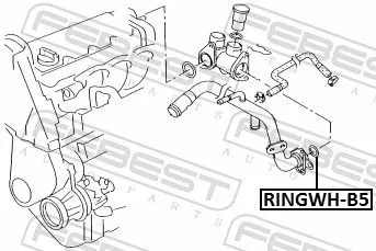 FEBEST Gasket, coolant flange (RINGWH-B5)