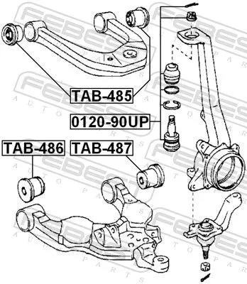 FEBEST Mounting, control/trailing arm (TAB-485)