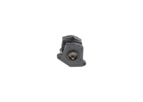 BOSCH Fuel Pump (0 440 020 049)