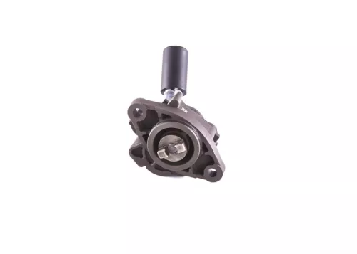BOSCH Fuel Pump (0 440 020 128)