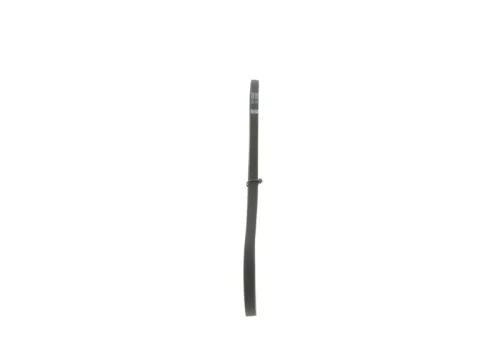 BOSCH V-Ribbed Belt (1 987 946 065)