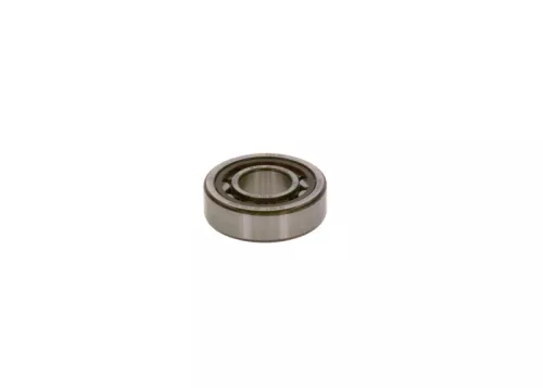 BOSCH Bearing (2 120 910 000)