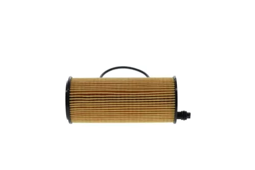 BOSCH Oil Filter (F026407123)