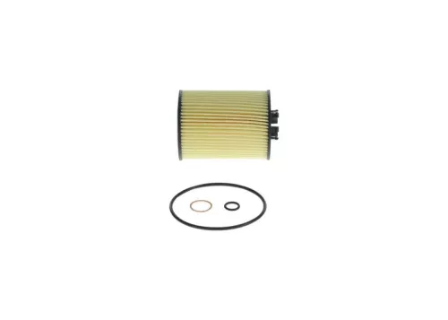 BOSCH Oil Filter (F026407010)