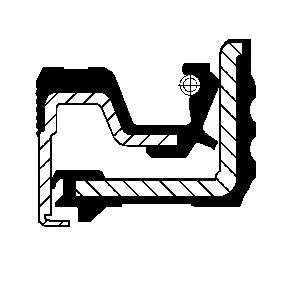 CORTECO Shaft Seal, crankshaft (12029817B)