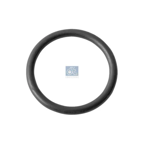 DT Spare Parts Seal Ring (4.20313)