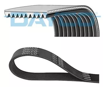DAYCO V-Ribbed Belt (10PK1575HD)